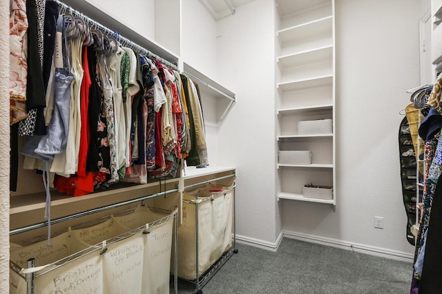 3500 Oak Island Ln, Flower Mound, TX 75028 - walk in closet featuring carpet
