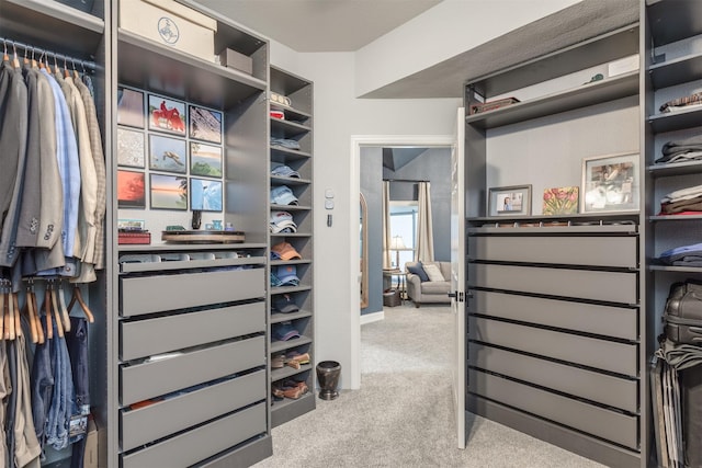 507 Clover Leaf Ln, Mckinney, TX 75072 - walk in closet with carpet floors