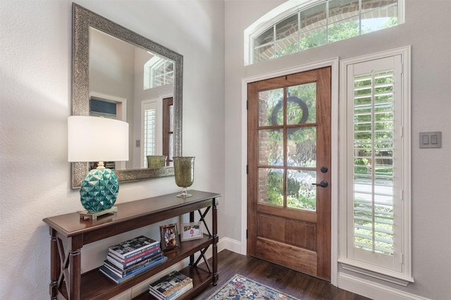 507 Clover Leaf Ln, Mckinney, TX 75072 - foyer featuring healthy amount of natural light, dark wood-type flooring, and baseboards