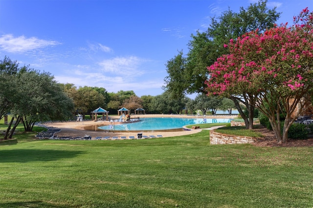 507 Clover Leaf Ln, Mckinney, TX 75072 - community pool featuring a lawn
