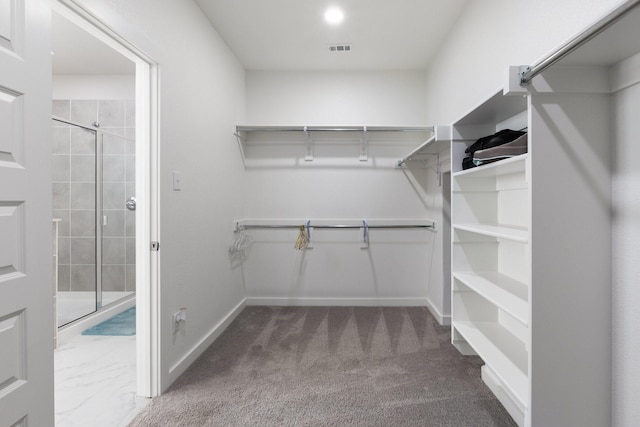 2012 Edgewater St, Celina, TX 75009 - walk in closet with carpet