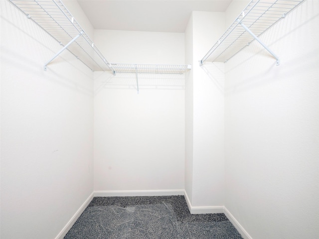 1218 Parker Dr, Princeton, TX 75407 - walk in closet with carpet