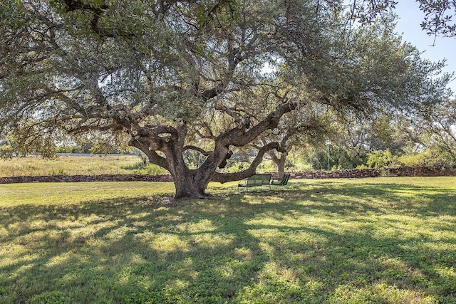 2992 County Road 100, Brady, TX 76825 - view of grassy yard