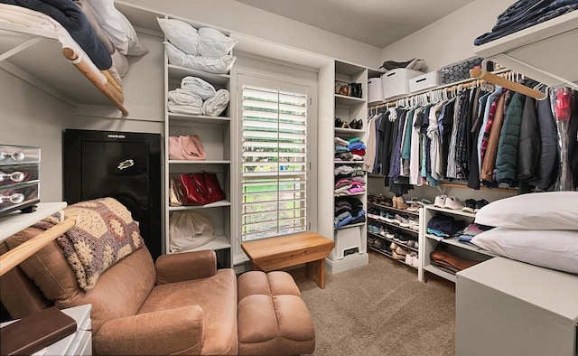 103 Saintsbury Cir, Waco, TX 76712 - walk in closet with carpet floors