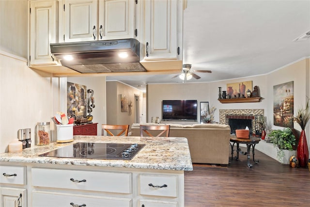 2507 16th St, Brownwood, TX 76801 - kitchen featuring black electric cooktop, under cabinet range hood, a ceiling fan, dark wood-style floors, and a fireplace