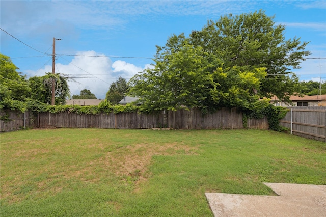 6003 Springwood Dr, Arlington, TX 76001 - view of yard