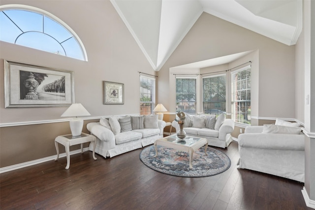 1908 Longfellow Ln, Flower Mound, TX 75028 - living room featuring plenty of natural light, wood finished floors, high vaulted ceiling, and baseboards