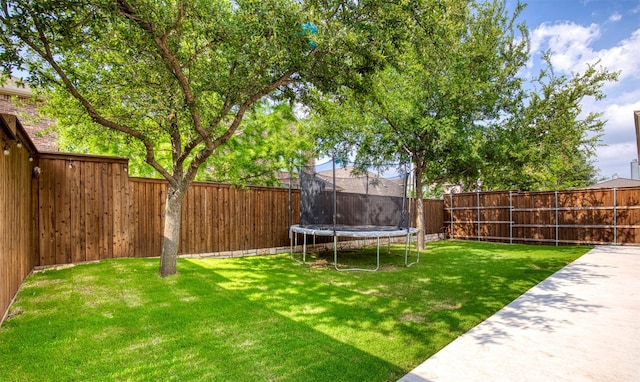 10140 Kingsland Trl, Mckinney, TX 75072 - view of yard featuring a trampoline