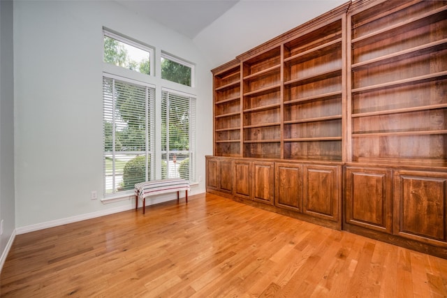 2925 Custer Dr, Corinth, TX 76210 - spare room featuring vaulted ceiling, healthy amount of natural light, light wood-type flooring, and built in shelves