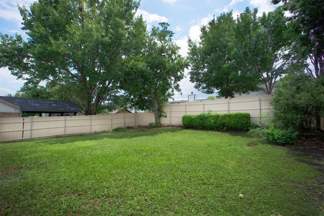 4136 Periwinkle Dr, Fort Worth, TX 76137 - view of yard