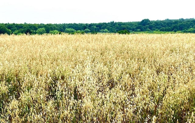 1179 County Road 1990, Chico, TX 76431