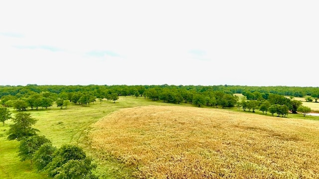 1179 County Road 1990, Chico, TX 76431