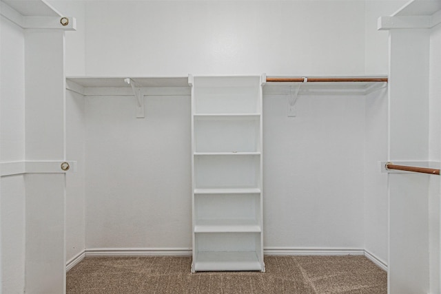 1301 Hennessey Ct, Fort Worth, TX 76131 - spacious closet featuring carpet