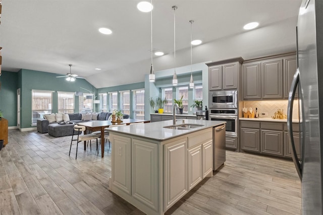 800 Marion Farm Rd E, Little Elm, TX 75068 - kitchen featuring appliances with stainless steel finishes, a sink, lofted ceiling, light wood-type flooring, and light countertops