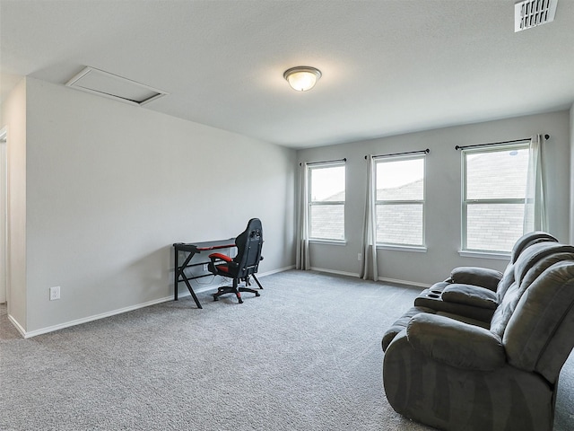 3019 Dakota Trl, Crandall, TX 75114 - carpeted home office featuring attic access and baseboards