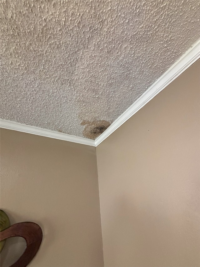 701 Rocky Canyon Rd, Arlington, TX 76012 - detailed view of ornamental molding and a textured ceiling