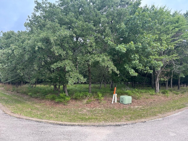 TBD Caroline Court, Athens, TX 75752