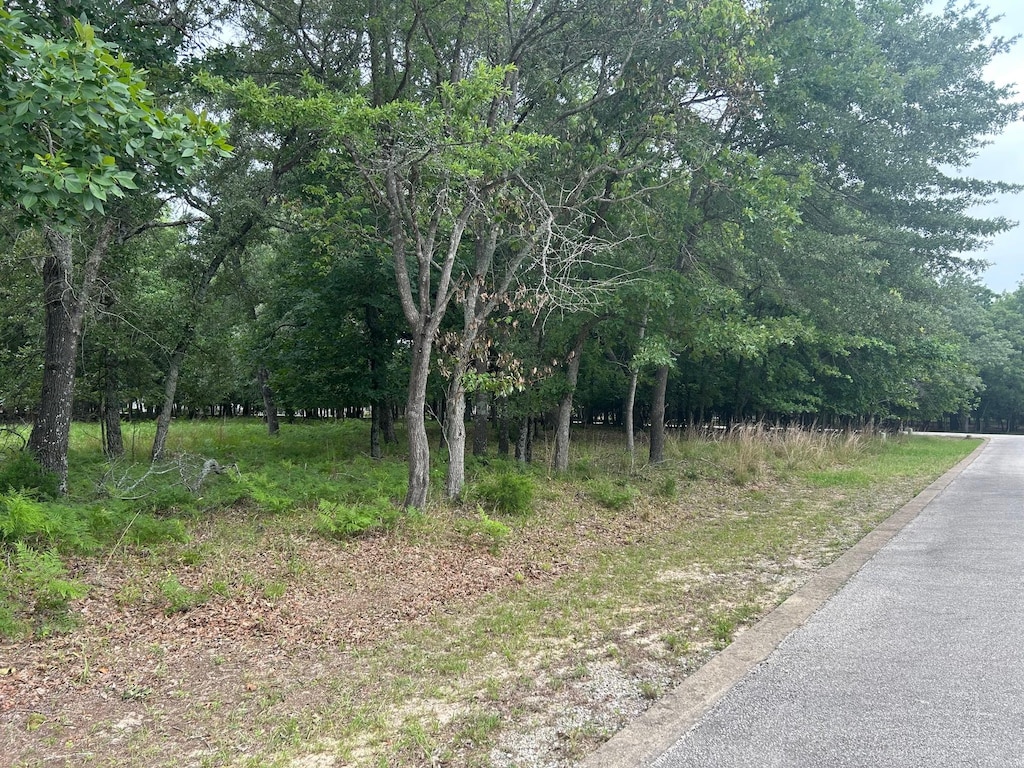 TBD Caroline Court, Athens, TX 75752