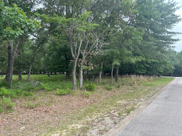 TBD Caroline Court, Athens, TX 75752