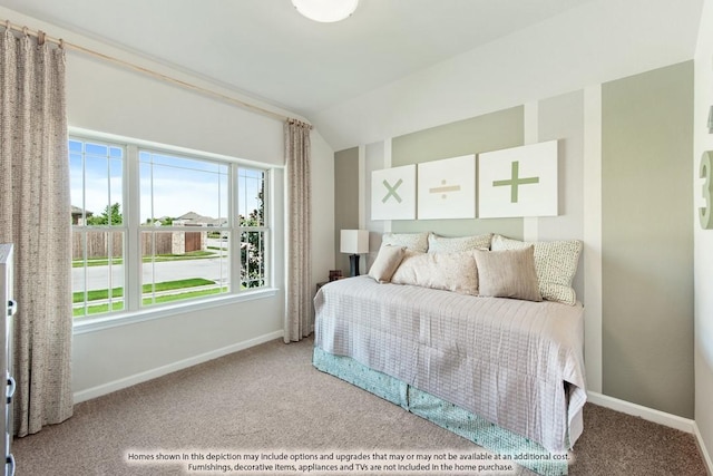 1005 Nighthawk Trl, Alvarado, TX 76009 - bedroom featuring carpet, multiple windows, baseboards, and vaulted ceiling