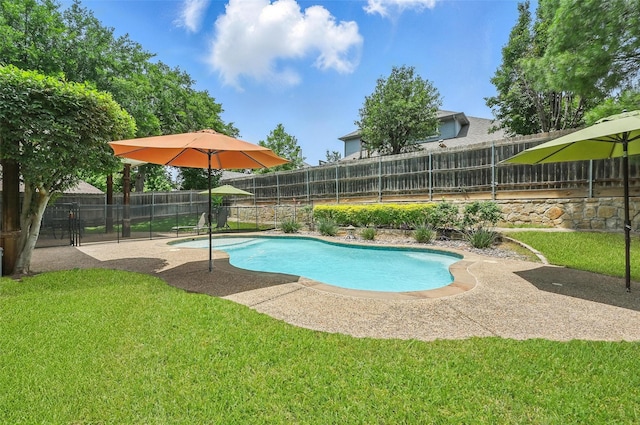 7917 Chapelwood Dr, North Richland Hills, TX 76182 - view of swimming pool featuring a patio area