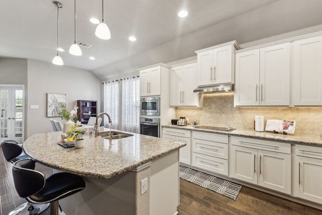 1117 Summer Ln, Mckinney, TX 75071 - kitchen featuring stainless steel appliances, a sink, under cabinet range hood, dark wood-type flooring, and decorative backsplash
