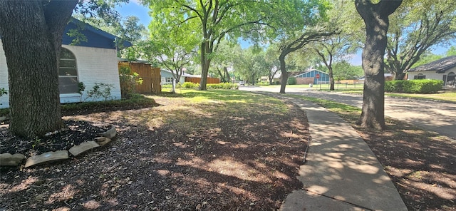 402 Ivy Way, Garland, TX 75043 - view of yard