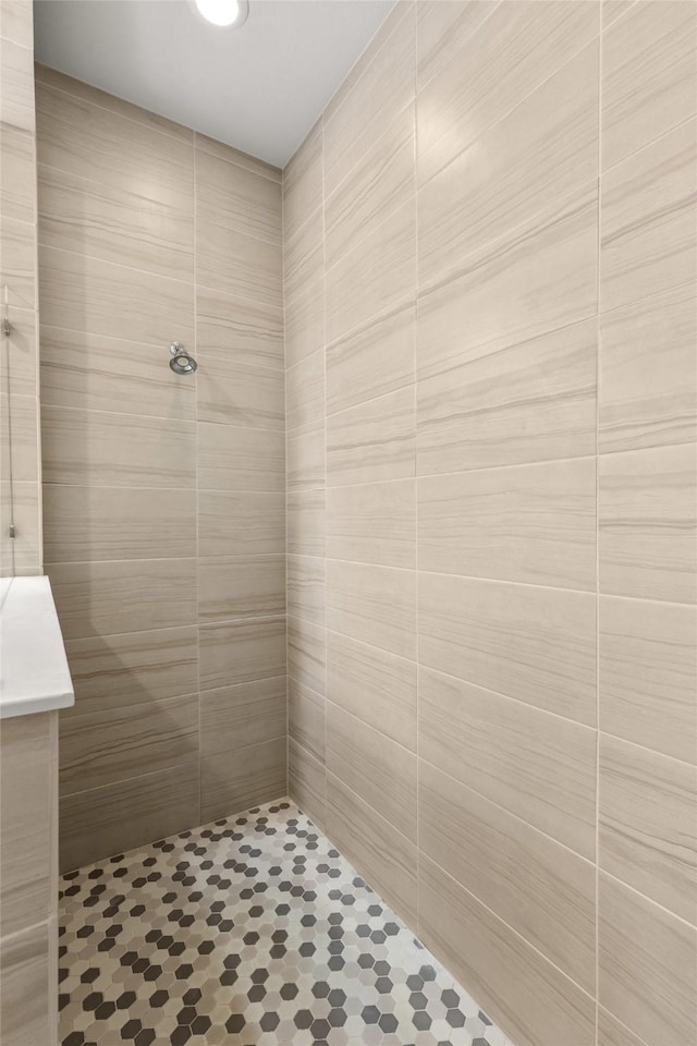 1725 Rolling Heights Ln, Fort Worth, TX 76008 - bathroom featuring tiled shower