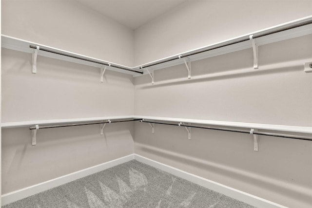 1725 Rolling Heights Ln, Fort Worth, TX 76008 - walk in closet with carpet