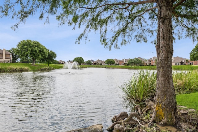 4077 Truman Dr, Frisco, TX 75034 - water view with nearby suburban area