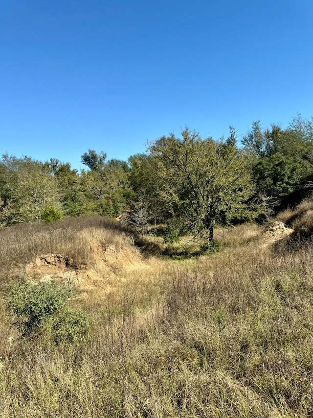 90/-ACRES Turner, Franklin, TX 77856