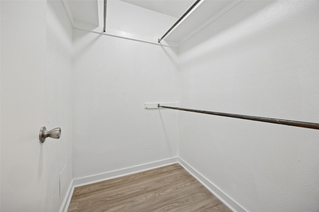 4536 Louisville Dr, Plano, TX 75093 - walk in closet featuring light wood-type flooring and attic access