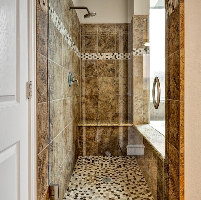 511 Cloud View Ct, Prosper, TX 75078 - spacious closet featuring light colored carpet