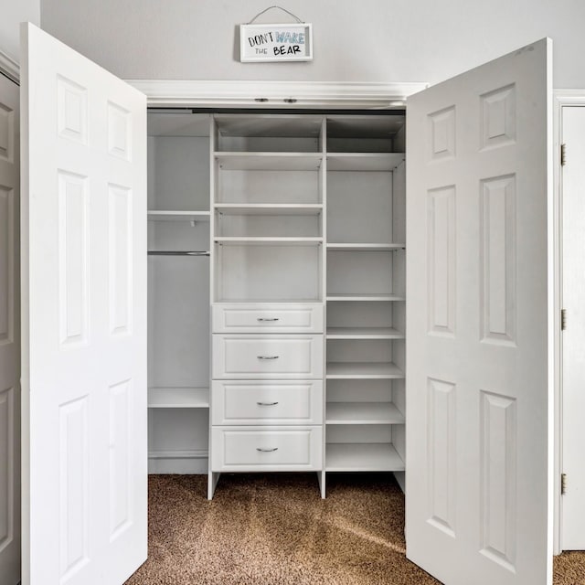 511 Cloud View Ct, Prosper, TX 75078 - view of closet