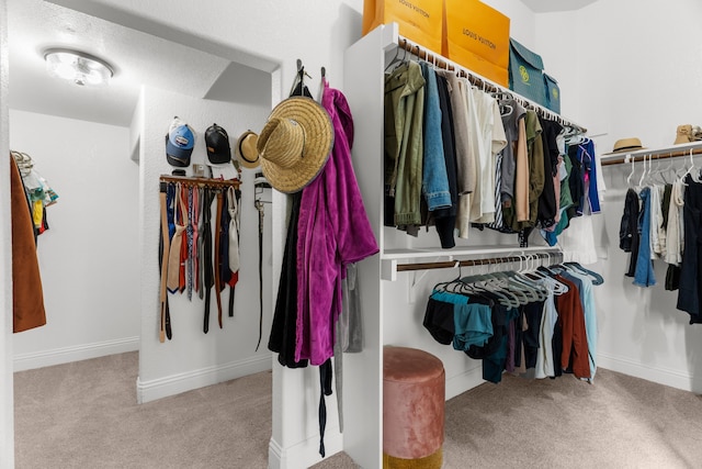 2402 Wilson Dr, Anna, TX 75409 - walk in closet with carpet flooring