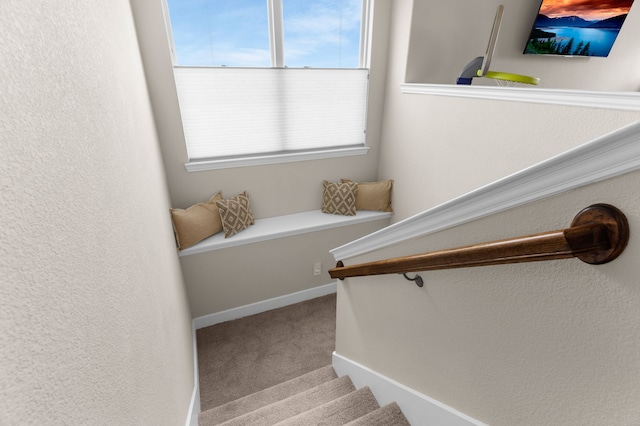 2402 Wilson Dr, Anna, TX 75409 - stairway with carpet floors and baseboards