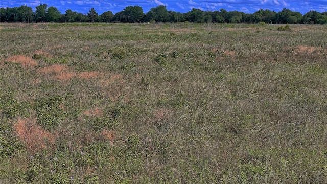 TBD Alamo Rd, Montague, TX 76251