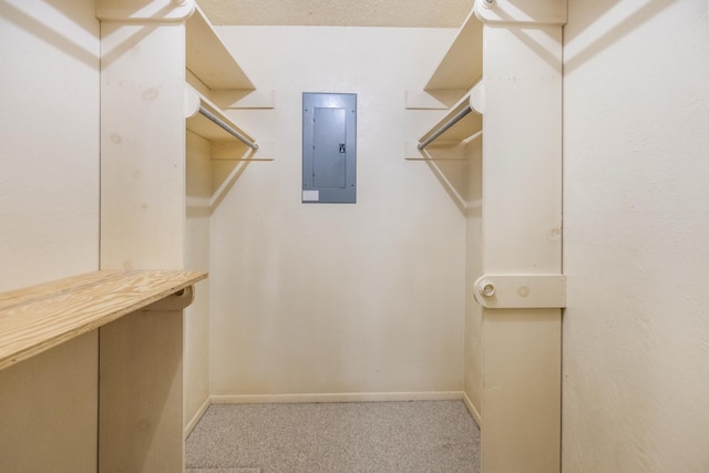 4508 Ramsgate Ct, Arlington, TX 76013 - spacious closet with electric panel and carpet