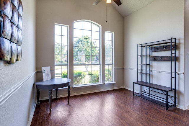 1721 Chapman Dr, Mesquite, TX 75149 - office space with wood finished floors, ceiling fan, baseboards, a textured wall, and high vaulted ceiling