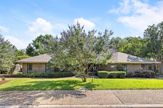 8907 Meadowknoll Dr, Dallas, TX 75243 - obstructed view of property featuring brick siding, a front yard, and a shingled roof