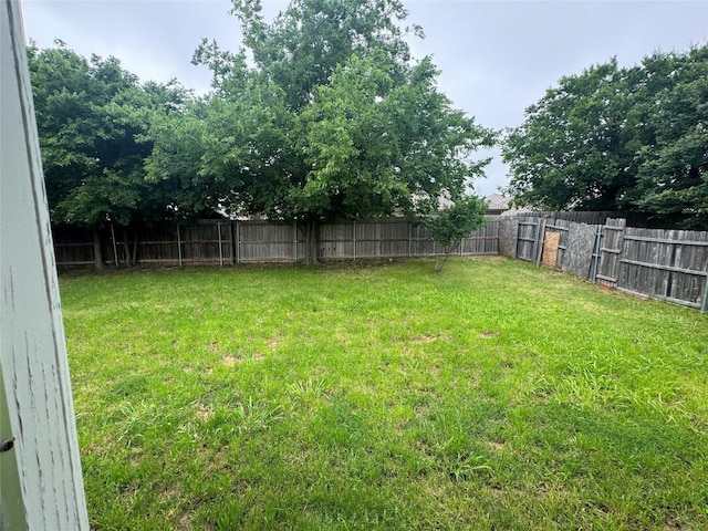 836 Cedar Ridge Ln, Burleson, TX 76028 - view of yard