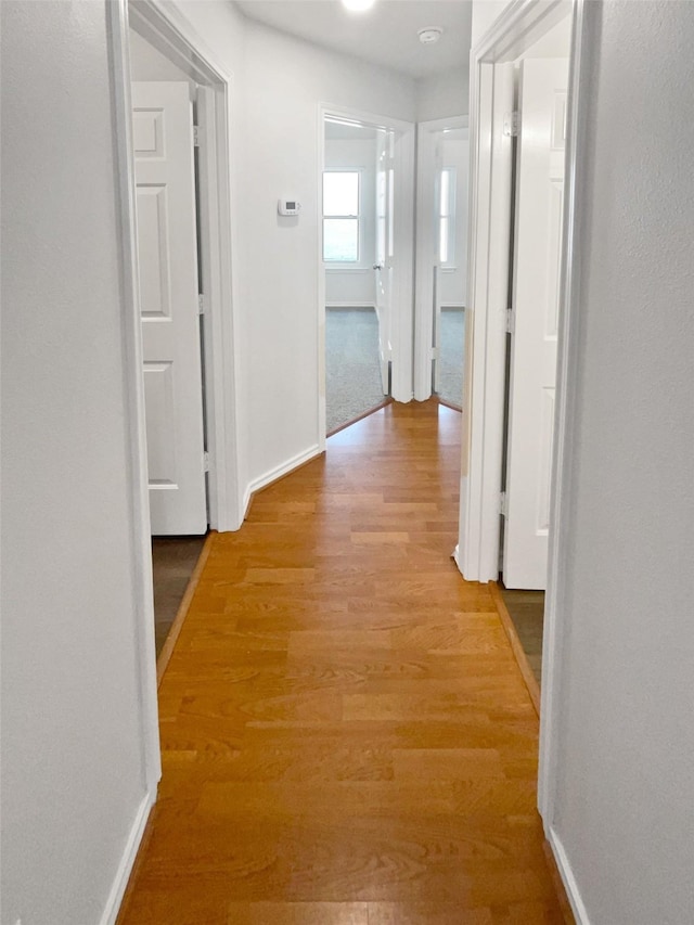 4162 Stone Hollow Way, Fort Worth, TX 76040 - hallway with light wood-type flooring and baseboards