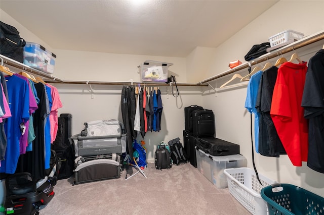 1401 Ancer Way, Fort Worth, TX 76052 - walk in closet featuring carpet floors