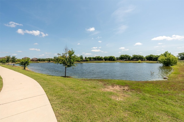 1401 Ancer Way, Fort Worth, TX 76052 - water view
