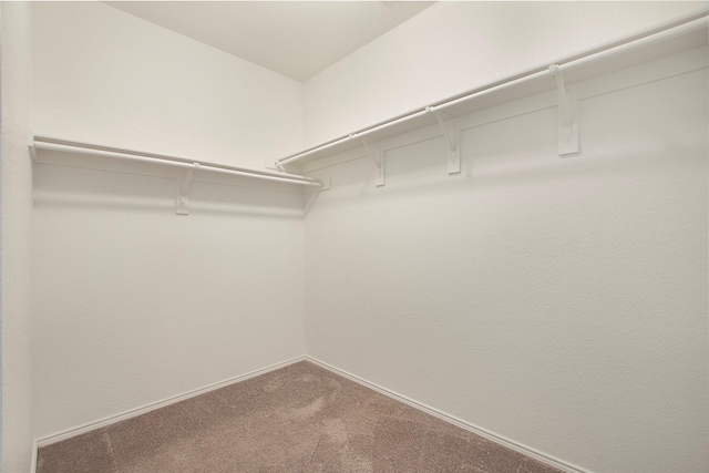 2154 Slow Stream Dr, Royse City, TX 75189 - walk in closet featuring carpet flooring