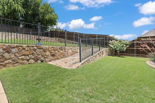 8228 Shady Valley Dr, Benbrook, TX 76116 - view of yard
