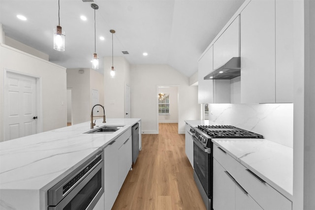 5809 Hidden Pine Ln, Mckinney, TX 75070 - kitchen with stainless steel appliances, a sink, under cabinet range hood, light wood-type flooring, and modern cabinets