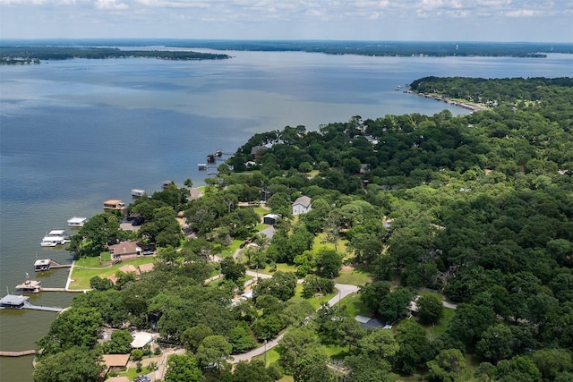 1327 Whispering Springs Dr, Tool, TX 75143 - bird's eye view of a nearby body of water