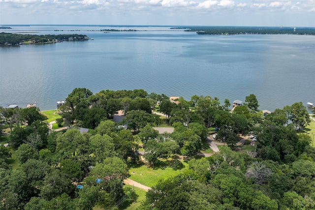 1327 Whispering Springs Dr, Tool, TX 75143 - aerial view of a large body of water