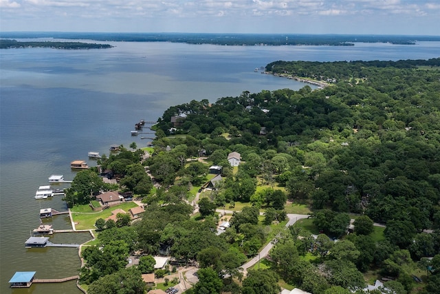 1327 Whispering Springs Dr, Tool, TX 75143 - aerial view of a nearby body of water and a forest